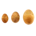 Egg Shaker Wood | Rhythms & Roots