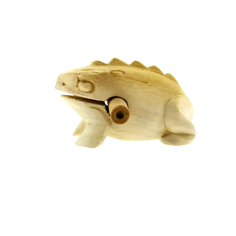 The Sound Frog Family | Rhythms & Roots