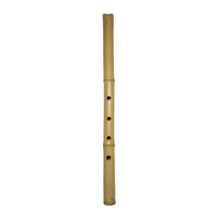 Shakuhachi Jinashi Student | Rhythms & Roots