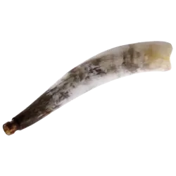 Corne de vache - Instrument de Signalisation | Rhythms & Roots