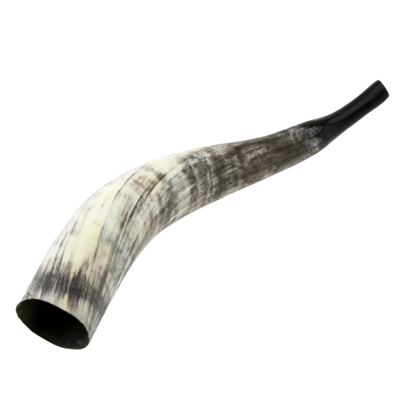 Cattle Horn | Rhythms & Roots