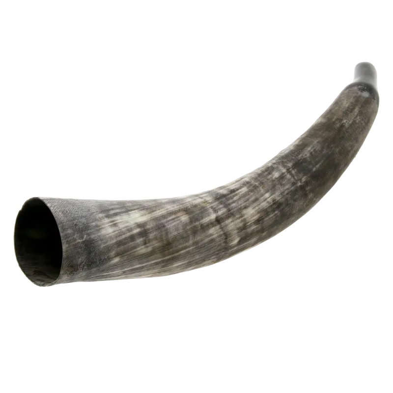 Cattle Horn | Rhythms & Roots