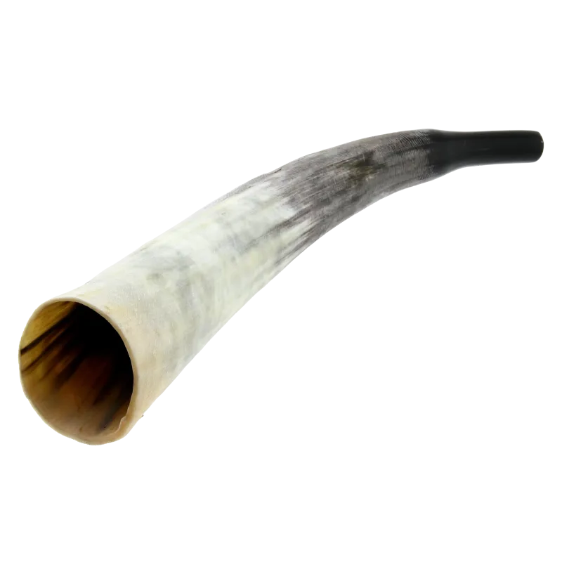 Cattle Horn | Rhythms & Roots