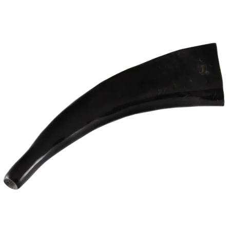 Water Buffalo Bugle Polished | Rhythms & Roots