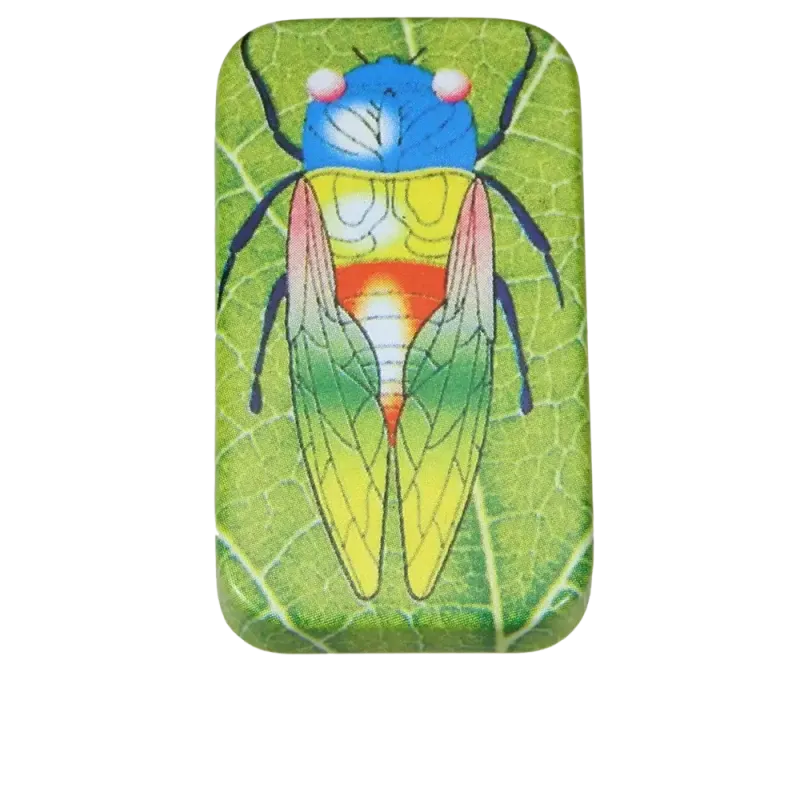 Clicker Insecte | Rhythms & Roots