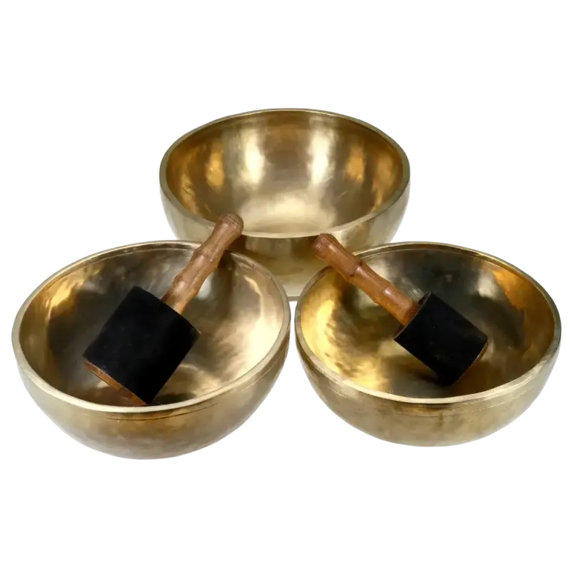 Singing Bowl Sakya | Rhythms & Roots