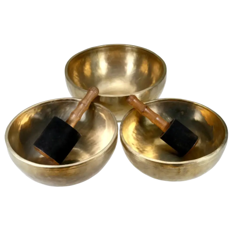 Singing Bowl Sakya | Rhythms & Roots