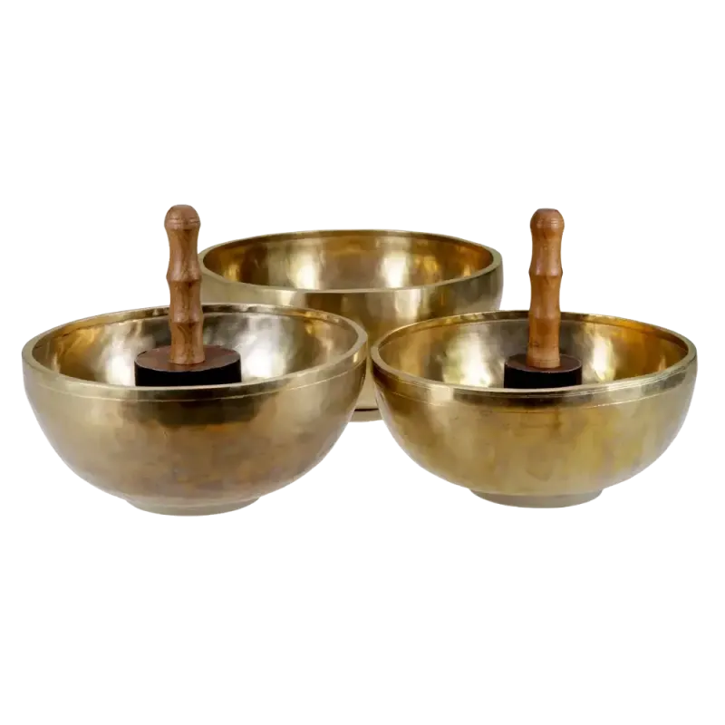 Singing Bowl Sakya | Rhythms & Roots