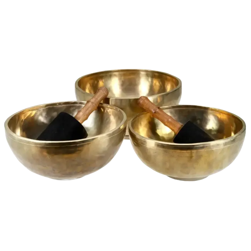Singing Bowl Sakya | Rhythms & Roots