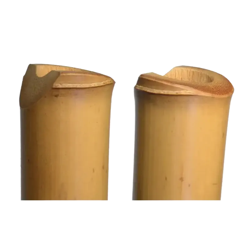 Shakuhachi Jinashi - Pro Model - Authentic Zen Flute | Rhythms & Roots