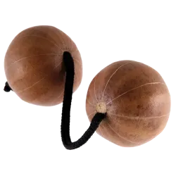 Gourd Thelevi | Rhythms & Roots