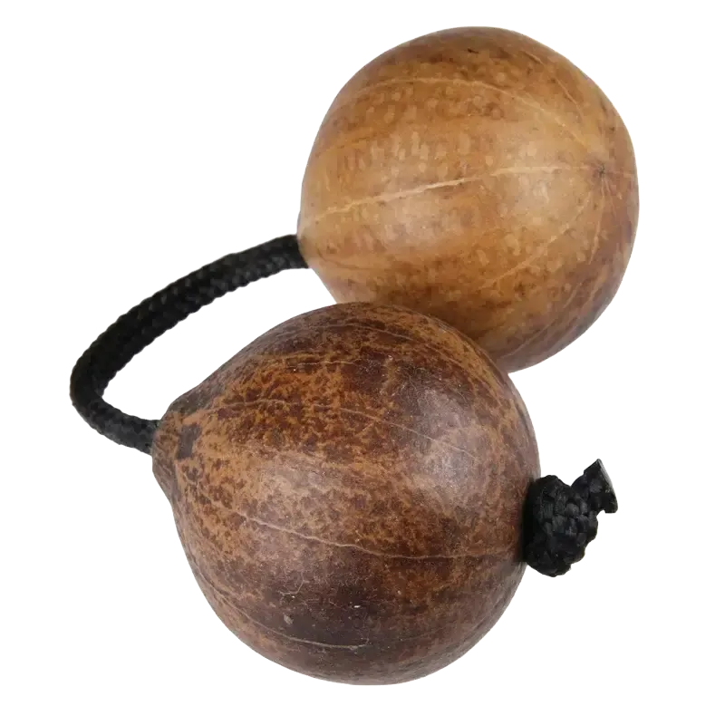 Gourd Thelevi | Rhythms & Roots