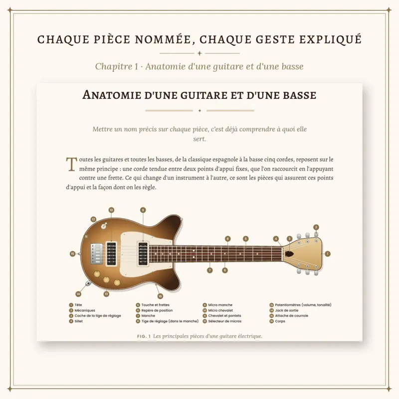 Guide de réglage guitare et basse PDF | Rhythms & Roots