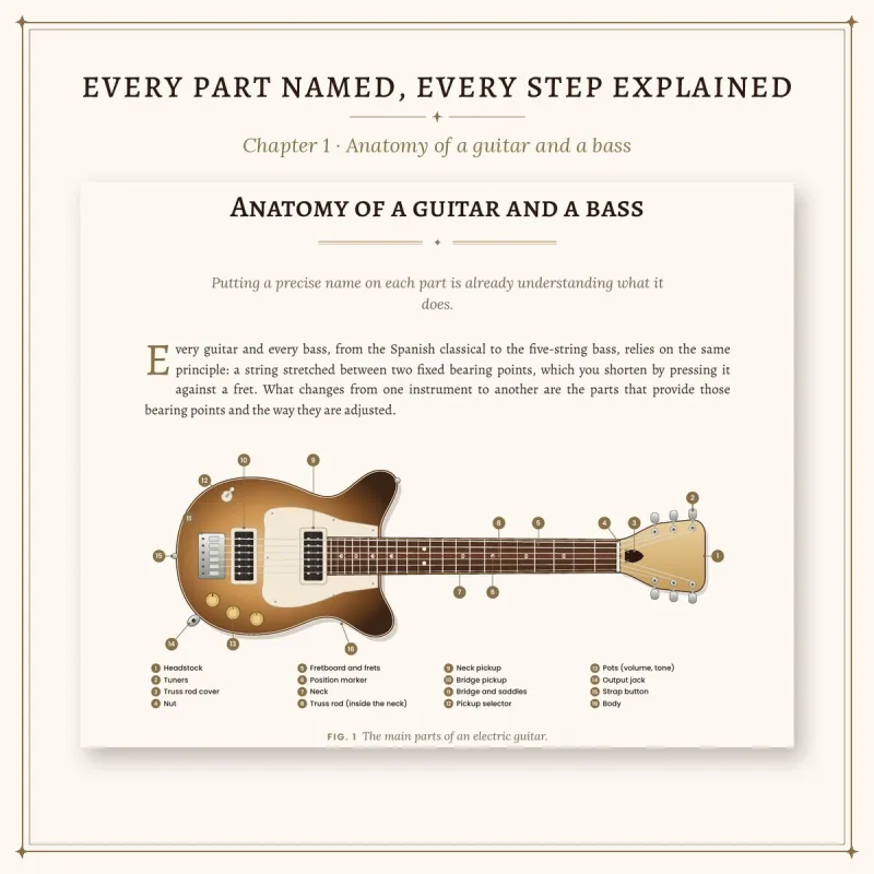 The Tuning Guide (édition anglaise) | Rhythms & Roots