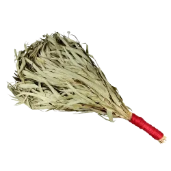 Chacapa - Eucalyptus - Bruissements de Forêt Shaker | Rhythms & Roots