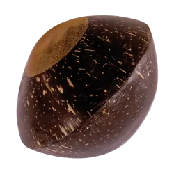 Coconut Shaker | Rhythms & Roots