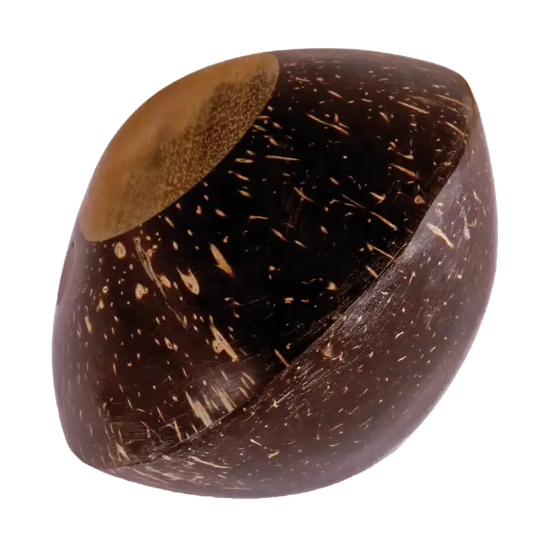 Coconut Shaker | Rhythms & Roots