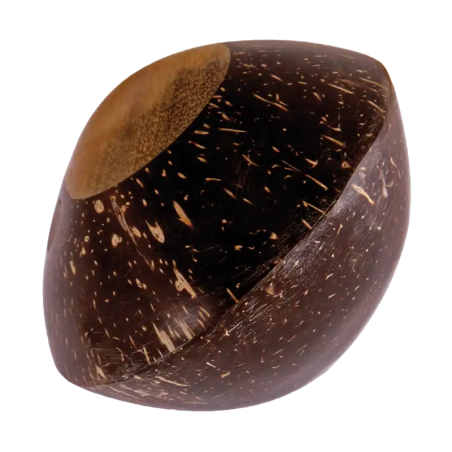 Coconut Shaker | Rhythms & Roots