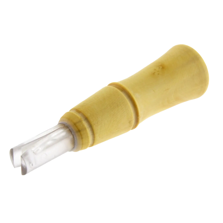 Crow and Duck Bird Call | Rhythms & Roots