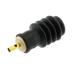 Kingfisher Bird Call | Rhythms & Roots