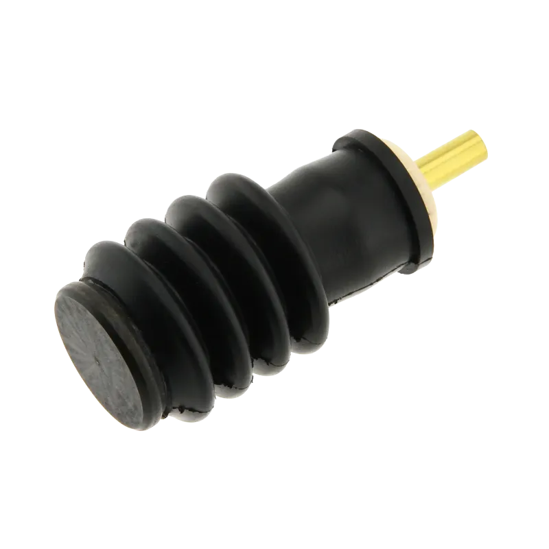 Kingfisher Bird Call | Rhythms & Roots