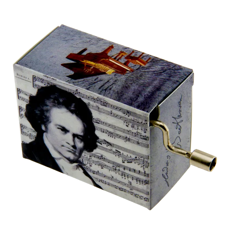 Music Box Beethoven Ode to Joy | Rhythms & Roots