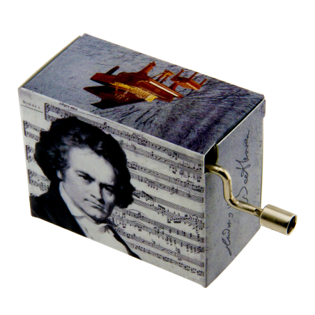 Music Box Beethoven Ode to Joy | Rhythms & Roots