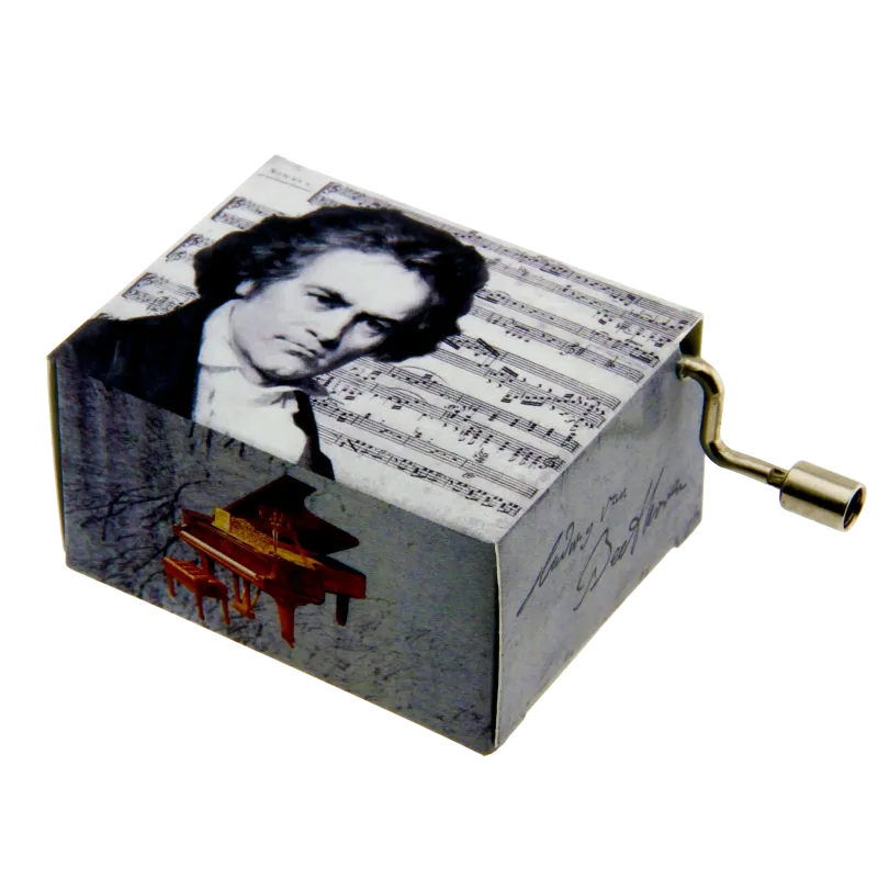 Music Box Beethoven Ode to Joy | Rhythms & Roots