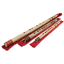 Bansuri | Rhythms & Roots