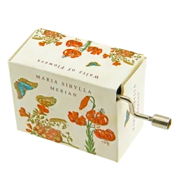 Music Box Tchaikovsky Flower Waltz | Rhythms & Roots
