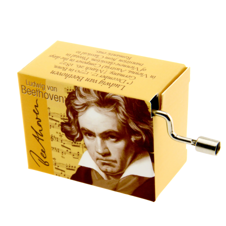 Boîte à musique - Beethoven - Pour Elise | Rhythms & Roots