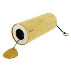 Carillon Koshi | Rhythms & Roots