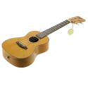 U-Turn Traffic Ukulele Set - Concert Model | Rhythms & Roots
