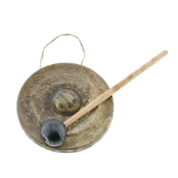 Domed Gong - Authentic Asian Percussion | Rhythms & Roots