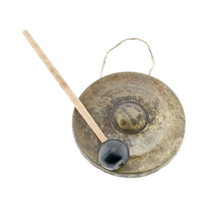 Domed Gong - Authentic Asian Percussion | Rhythms & Roots