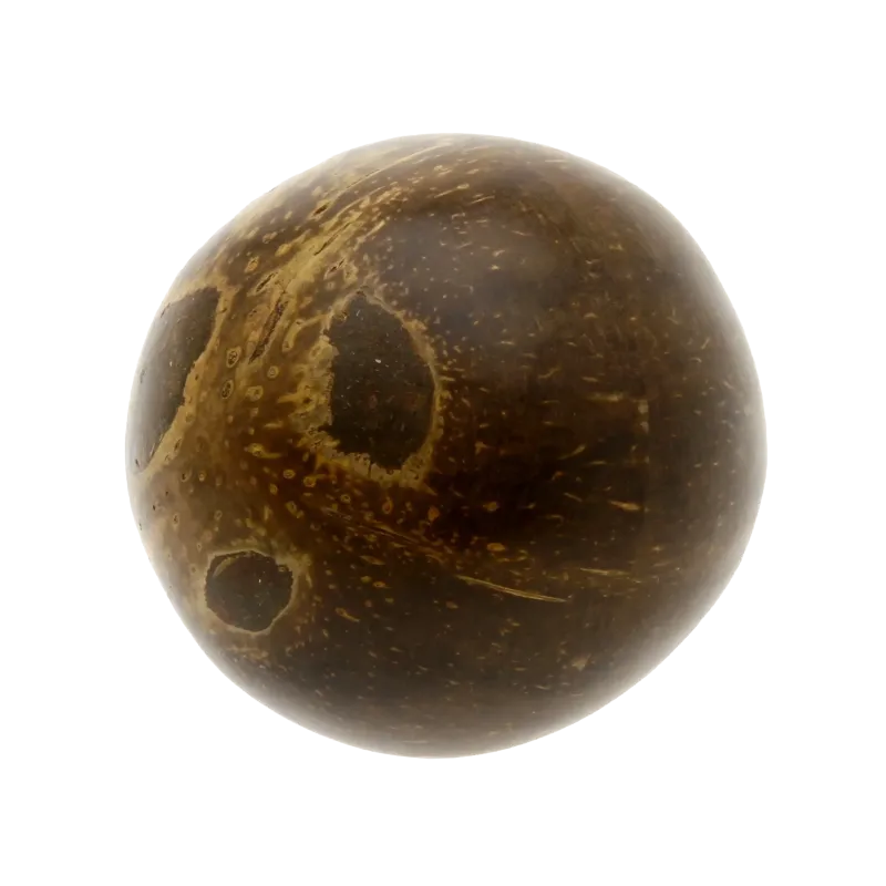 Coconut Egg Shaker - Natural Percussion | Rhythms & Roots