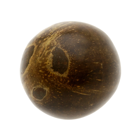 Coconut Egg Shaker - Natural Percussion | Rhythms & Roots