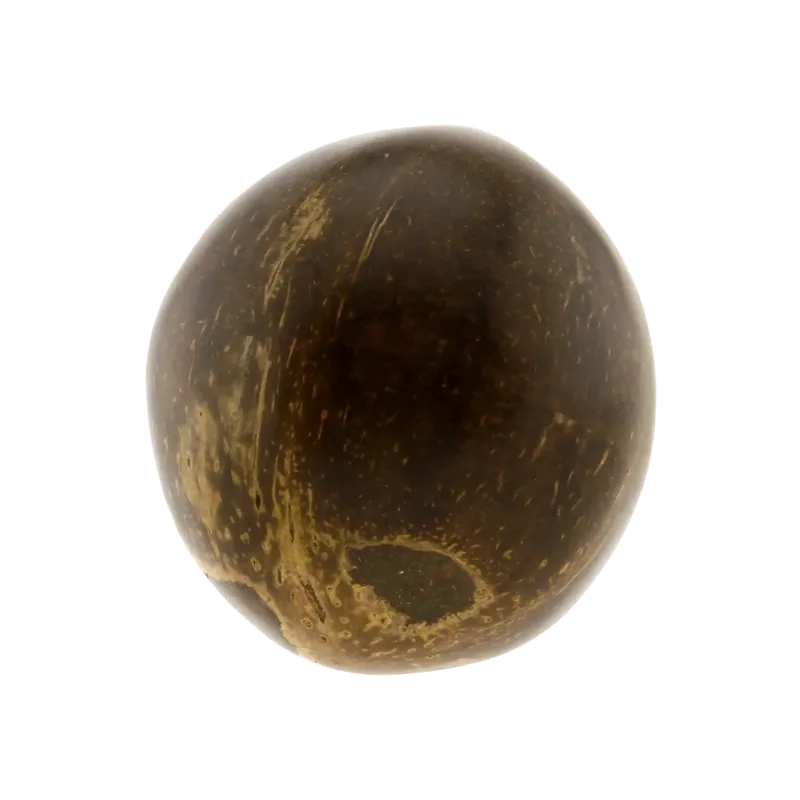 Coconut Egg Shaker - Natural Percussion | Rhythms & Roots