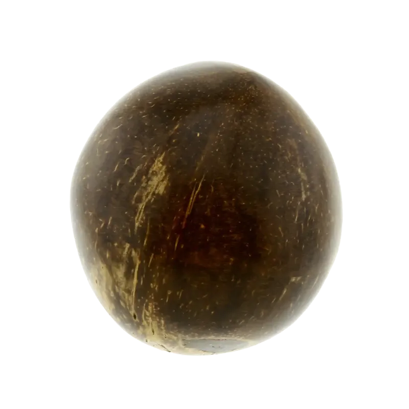 Coconut Egg Shaker - Natural Percussion | Rhythms & Roots