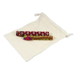 Dan Moi Fifths Set | Rhythms & Roots