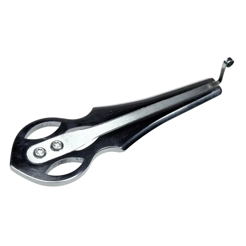 Vargan Ural Jaw Harp - Traditional Instrument | Rhythms & Roots