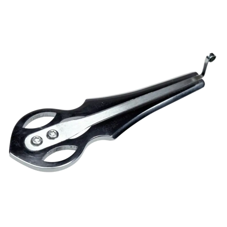 Vargan Ural Jaw Harp - Traditional Instrument | Rhythms & Roots