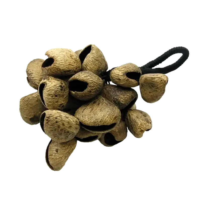 Seedpod Rattle Pangi | Rhythms & Roots